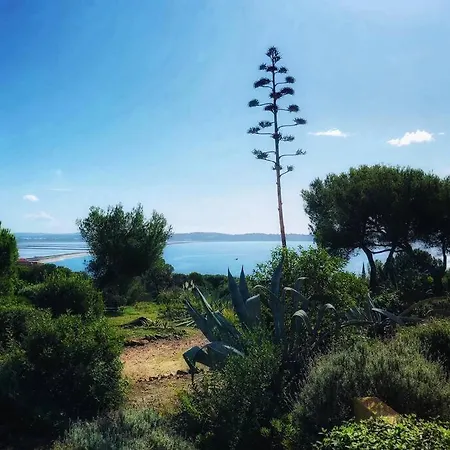 Apartment + Terrasse Vue Dans Un Parc De 3 Ha Hyères