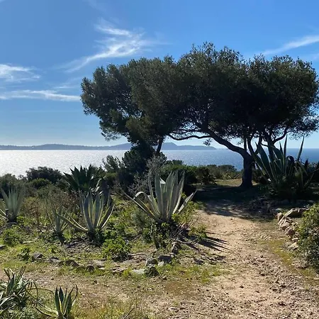 + Terrasse Vue Dans Un Parc De 3 Ha Hyères