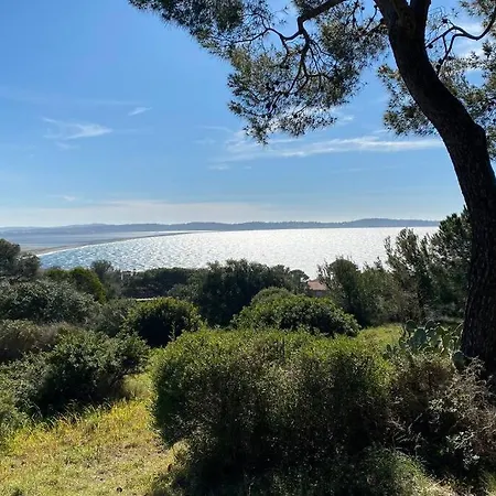 + Terrasse Vue Dans Un Parc De 3 Ha Hyères
